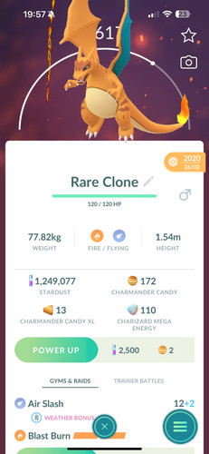 Pokemon clone charizard - pokemon, go