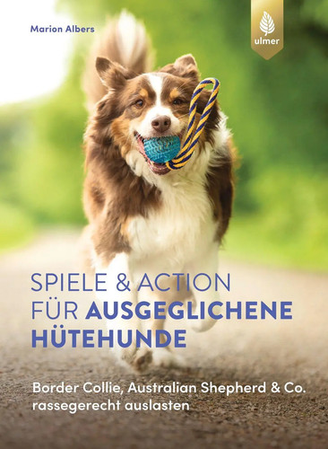 Spiele und action - action, für